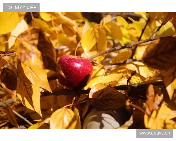 我还在拼团，刷到杨舒予的购物车瞬间怀疑人生