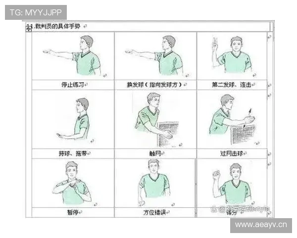 界外球违例怎么判定？新手常见错误及裁判手势解读